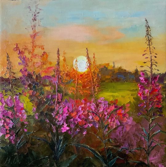 Иван чай (Кипрей)