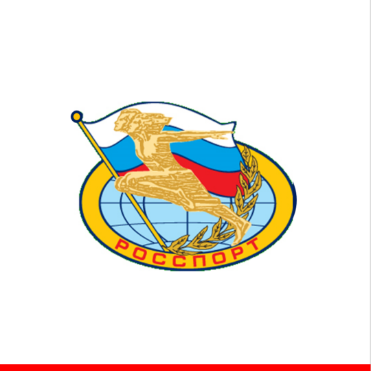 ООО "Эксклюзивные бизнес-технологии". Пример проектного кейса "Росспорт"