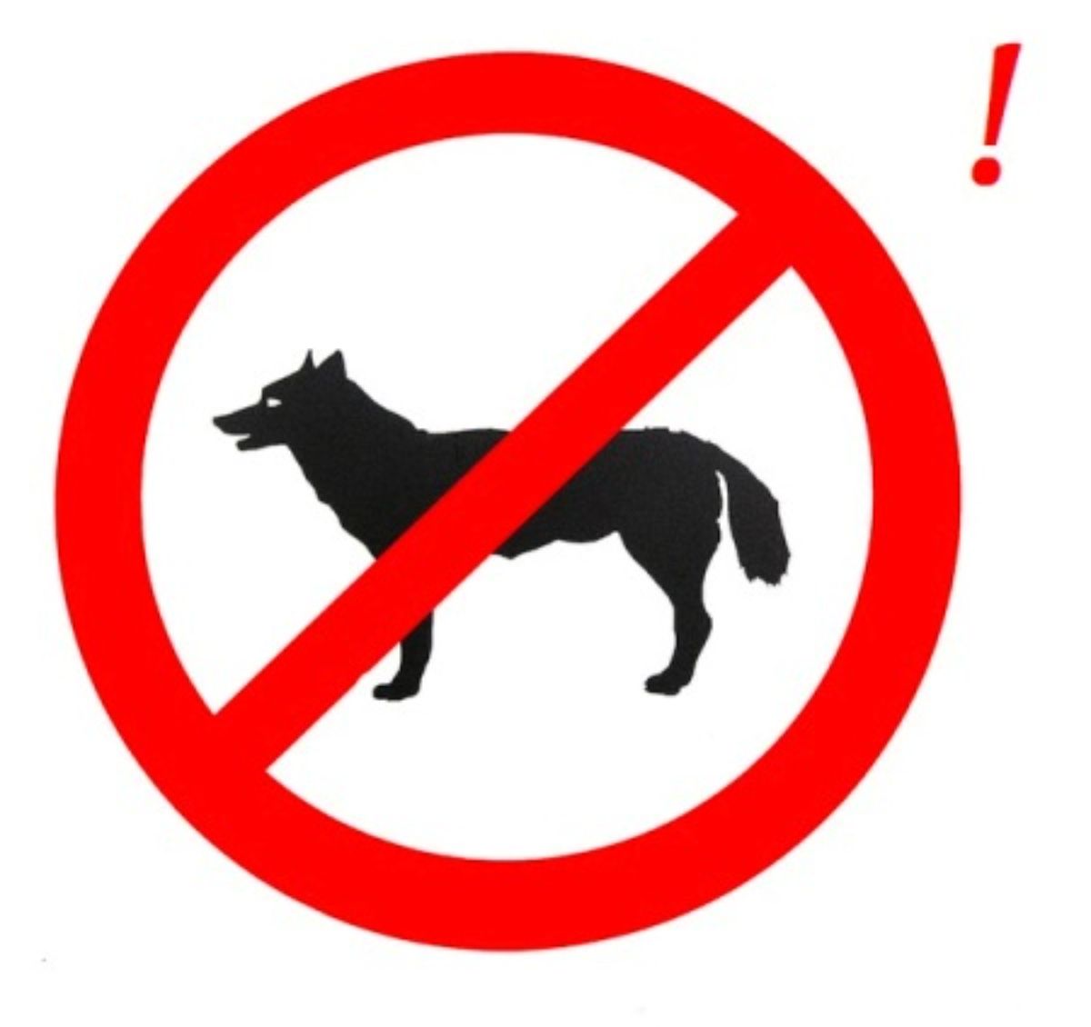 Выгул собак закон: правила и обязанности владельцев собак