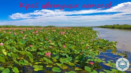 Направления