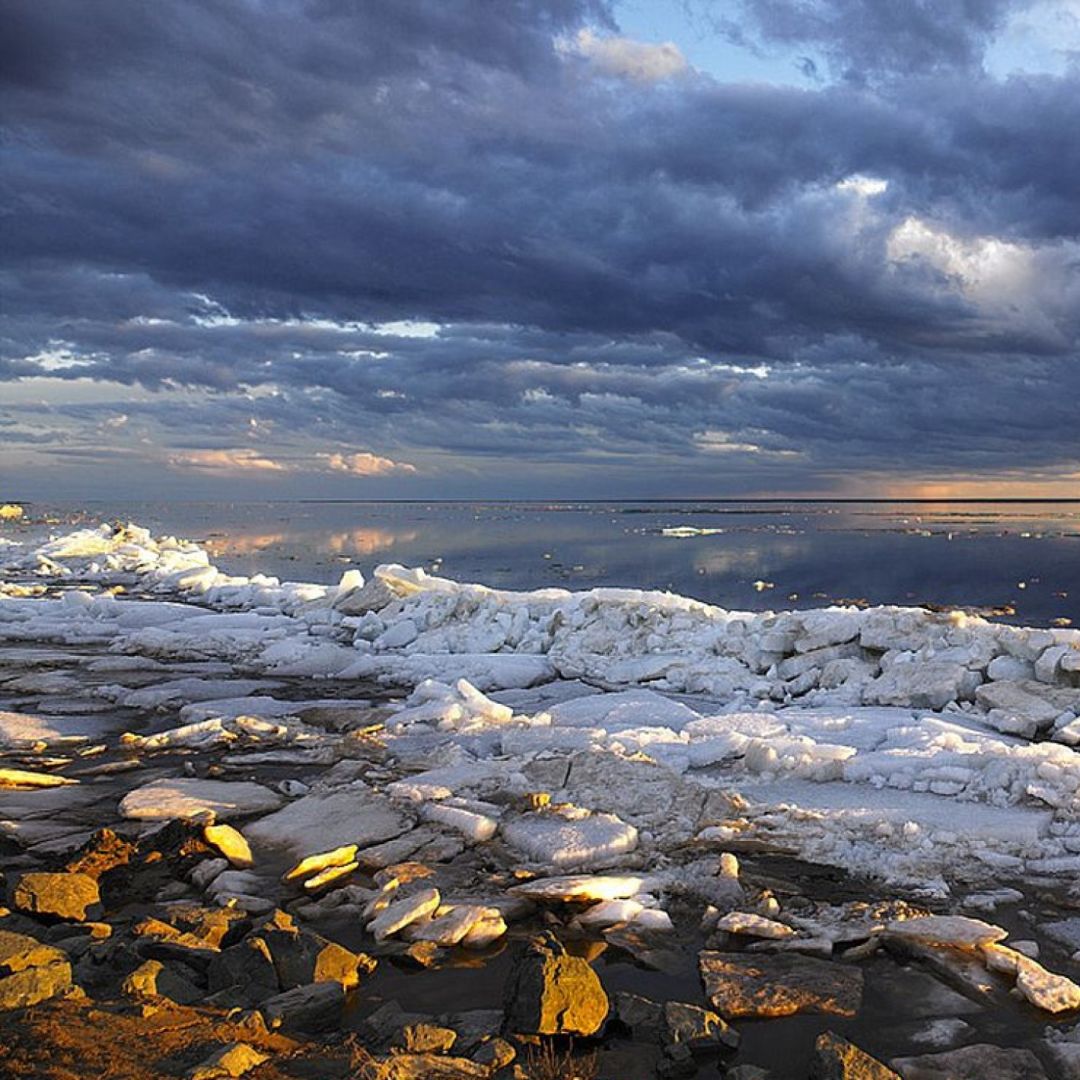 Река обь впадает в северный ледовитый океан. Побережье Карского моря на Ямале. Карское море Обская губа. Обская губа Северный Ледовитый океан. Ямал берег Карского моря.