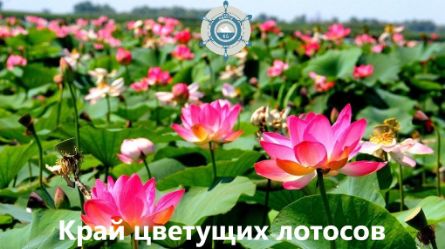 Направления