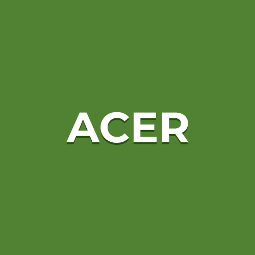 Ремонт ноутбуков Acer в Волжском