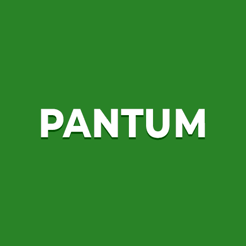 Ремонт принтеров Pantum в Волжском