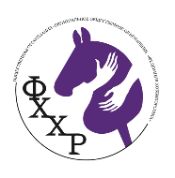 РОО Федерация хоббихорсинга России