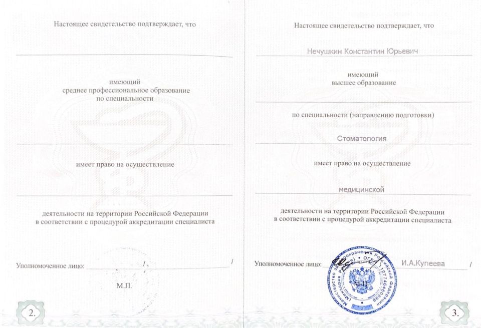 Нечушкин Константин Юрьевич документы об образовании