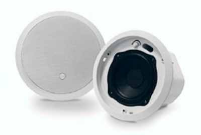 Потолочный сабвуфер для кафе, бара, ресторана