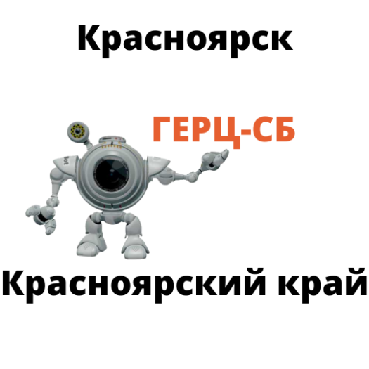 CamBox в Красноярске купить в компании Герц-СБ