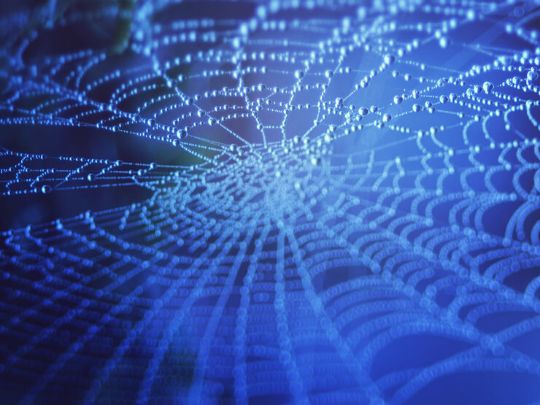 Создание уставов ООО на Интернет-площадках онлайн 2022 | АльмирА