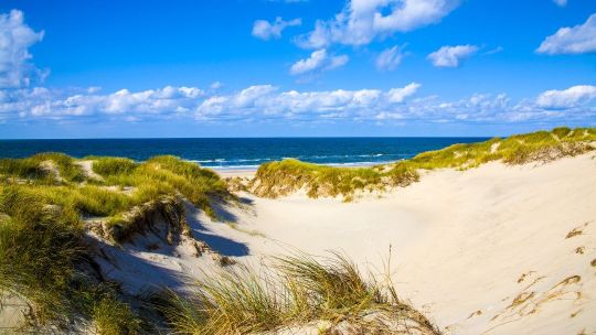 Отели Анапы