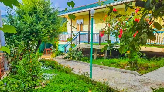 ахазия отели