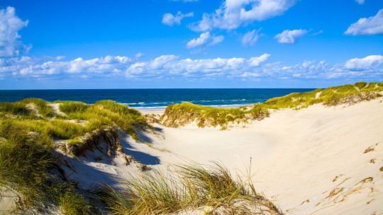 Отели Гостиницы  Гостевые дома  Благовещенская