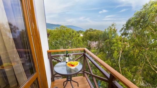 ахазия отели