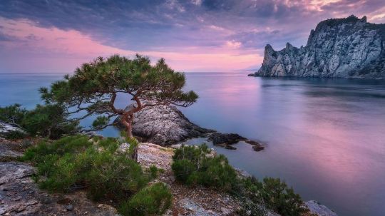 Отели крыма