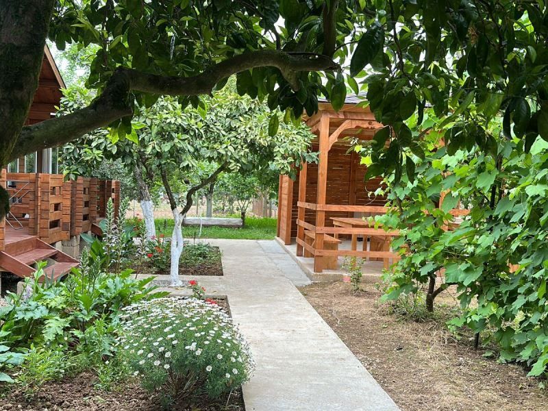 Неанила база отдыха в Гудауте