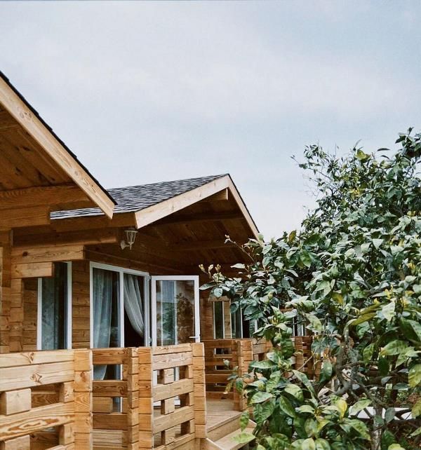 Неанила база отдыха в Гудауте