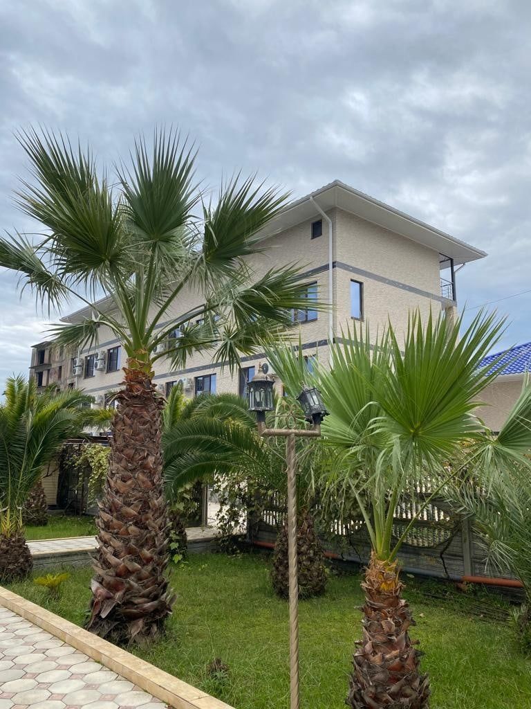 Отель Галина Абхазия Алахадзы