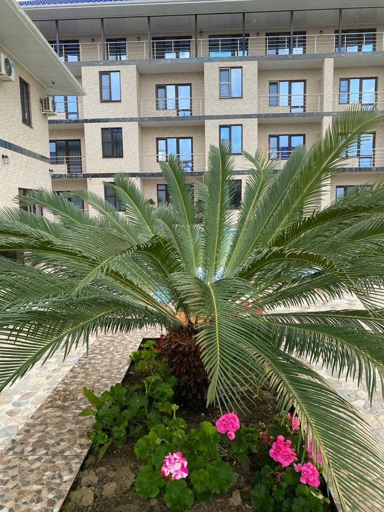 Отель Галина Абхазия Алахадзы