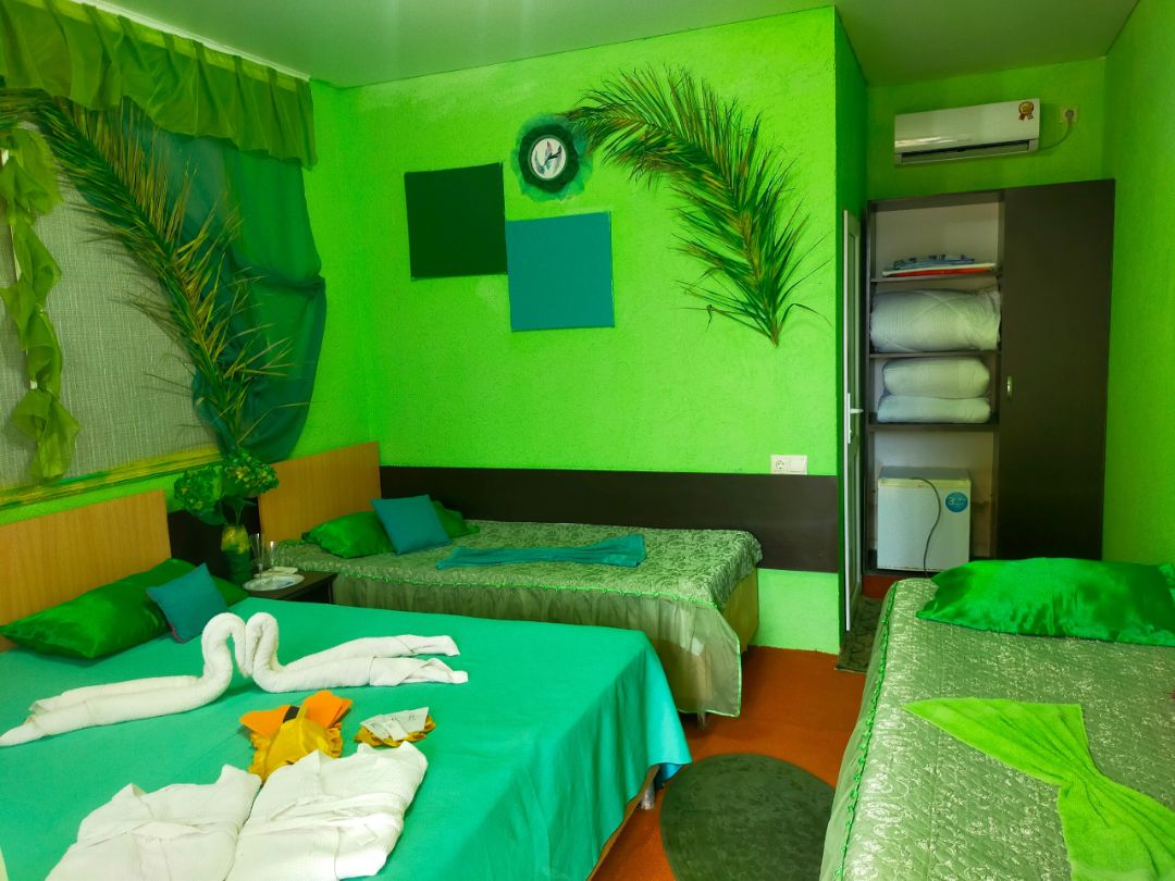 Одноместный бюджетный номер