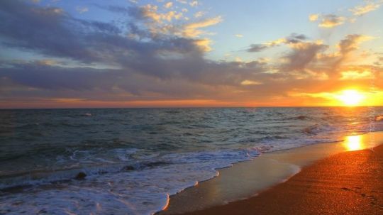 Отели Гостиницы  Гостевые дома  Благовещенская