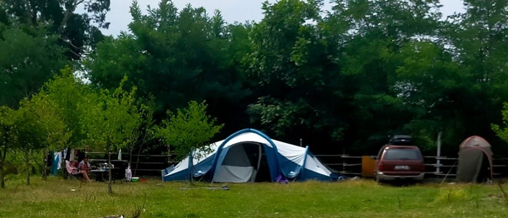 Одноместный бюджетный номер