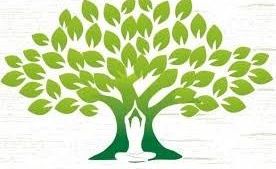 Физическое здоровье