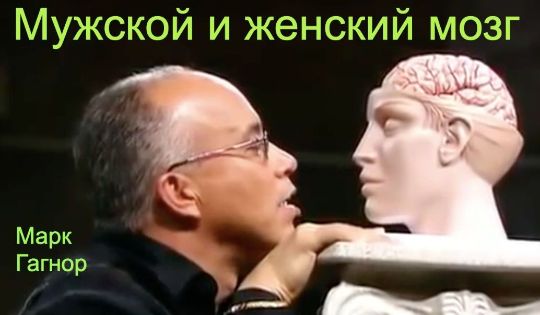 Мужской и женский мозг - Марк Гагнор