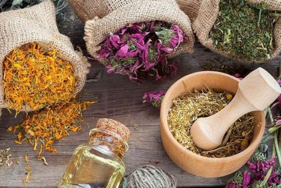 Фитотерапия