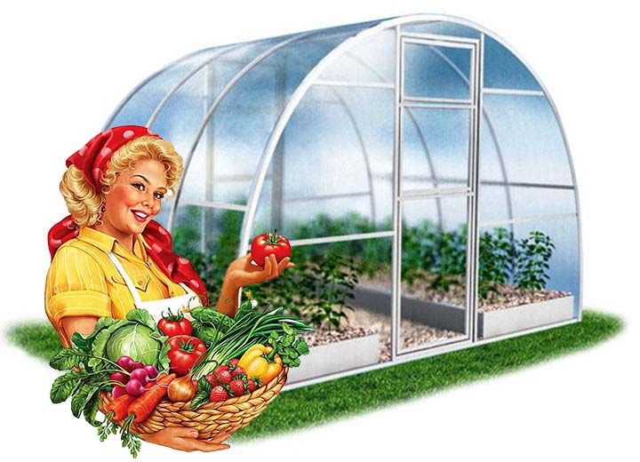 Волюты&amp;amp;amp;nbsp;