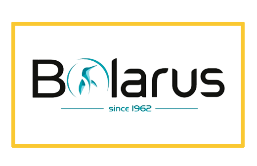 логотип Bolarus
