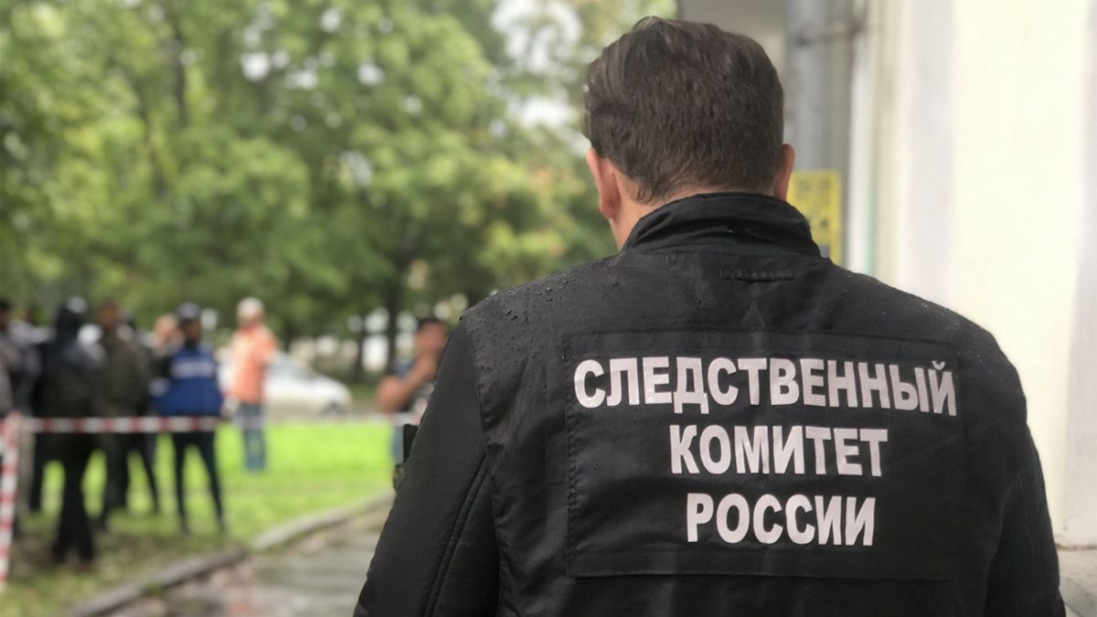 статья 105 ук рф через 30