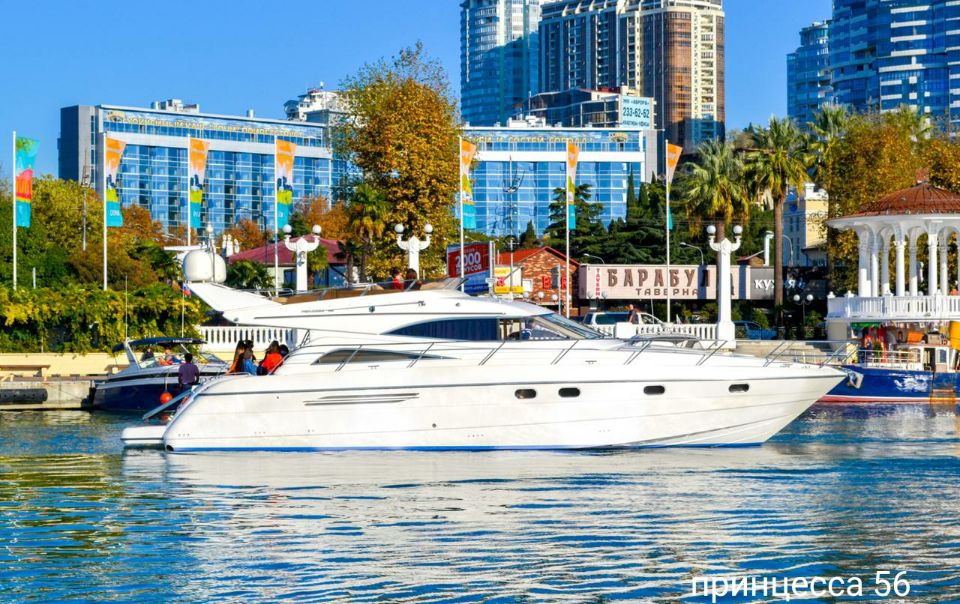 аренда принцесса 56