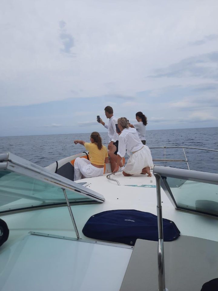 арендаВЕГАС в сочи