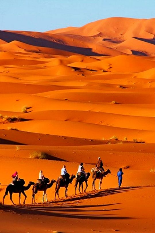 Sahara Desert Morocco путешествие