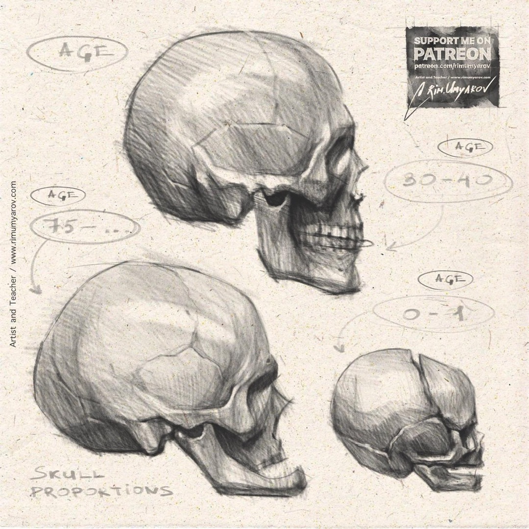 human skull tutorial Rim Umyarov 