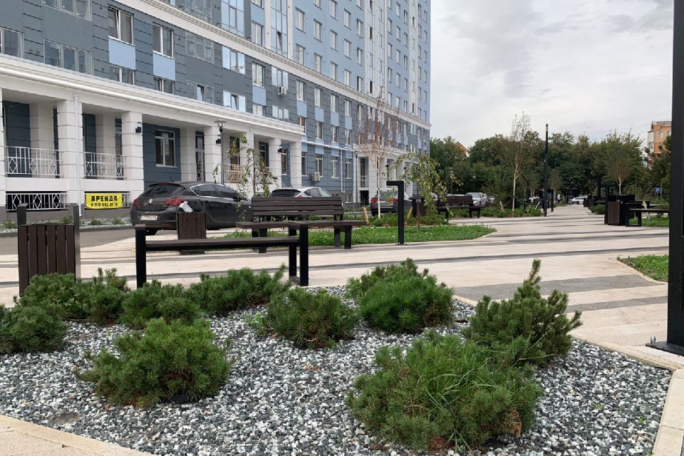 Сквер г. Рязань, 2021 г.