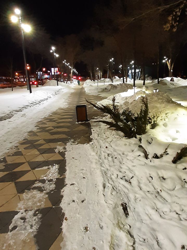 Сквер по ул. Аврора, г. Самара, 2020 г.