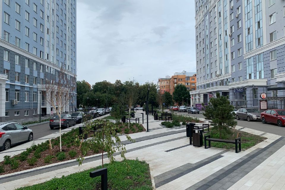 Сквер г. Рязань, 2021 г.