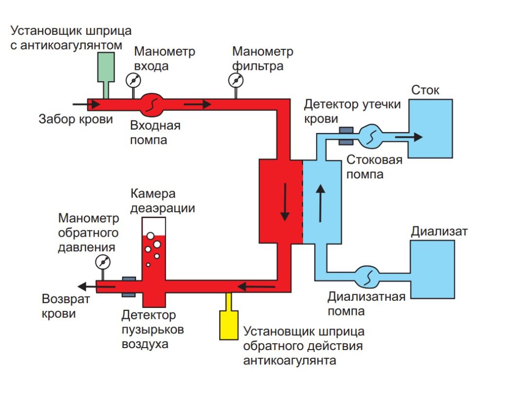 Гемодиализ в ветеринарии. Магистраль кровопроводящая для гемодиализа. Гемодиализ для кошек. Гемодиализ для кошек. Гемодиализ в ветеринарии.