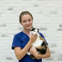 Ветеринарный хирург