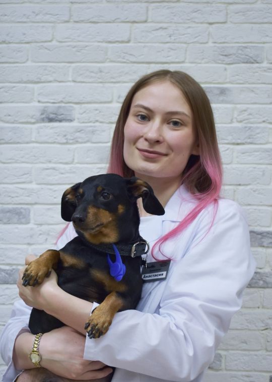 администратор ветеринарной клиники