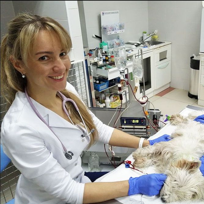 Ветеринарная клиника Добровет