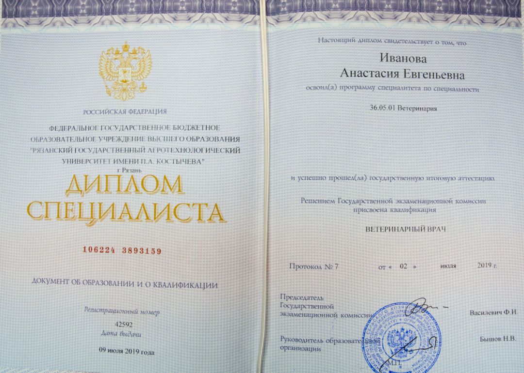 Диплом специалиста