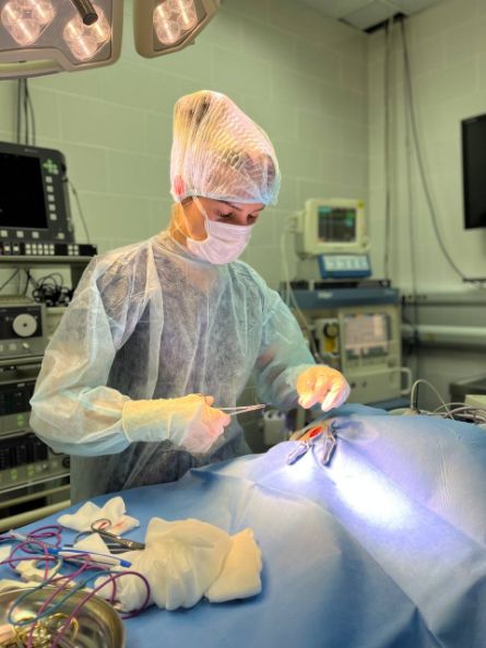 Ветеринарный врач Хирург