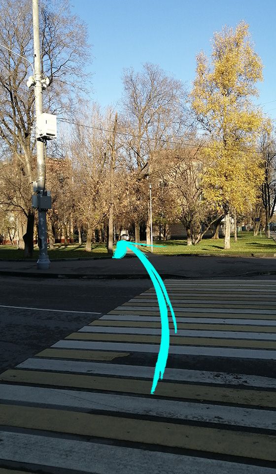 Ветеринарная клиника Добровет