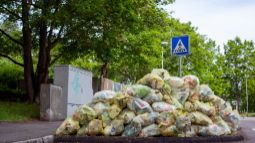 uborka-territorii-i-sbor-musora-po-rostovu-i-rostovskoj-oblasti