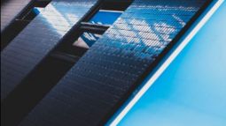 myte-reklamnyh-vyvesok-i-fasadov-po-rostovu-i-rostovskoj-oblasti