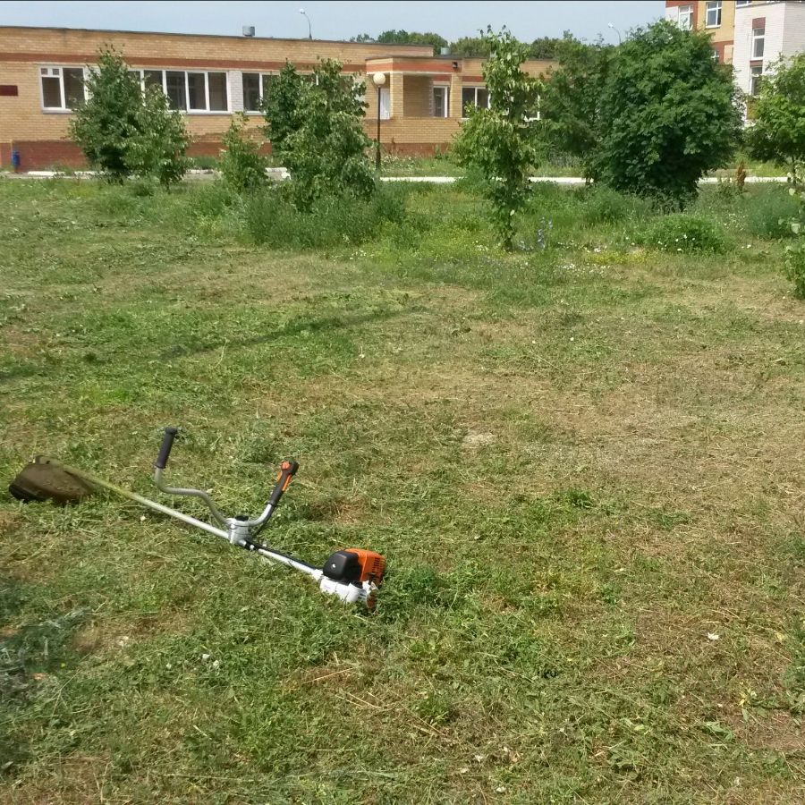 pokos-travy-i-kamysha-po-rostovu-i-rostovskoj-oblasti3