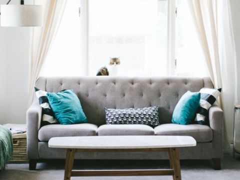 himchistka-mebeli-i-kovrovyh-pokrytij-po-rostovu-i-rostovskoj-oblasti