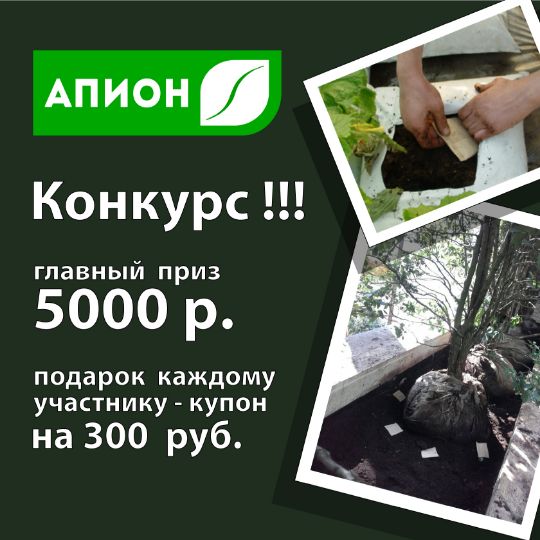 АПИОН конкурс